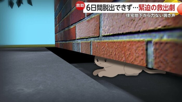 ネコが動けなくなっていた現場のイメージ