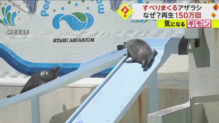 上りきると方向転換して...