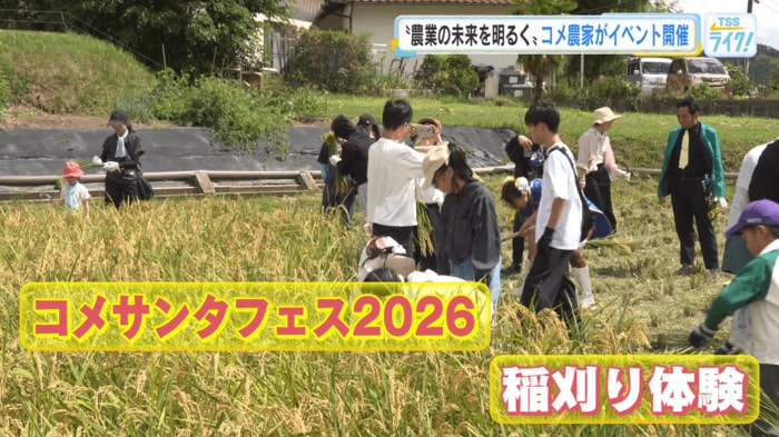 コメサンタフェス2026