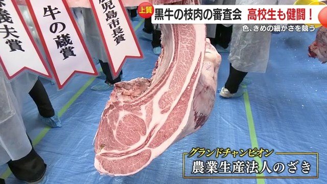 薩摩川内市の牛がグランドチャンピオンに