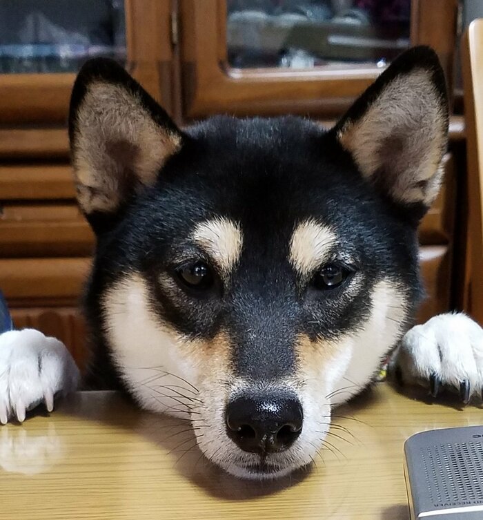 ちゆちゃん