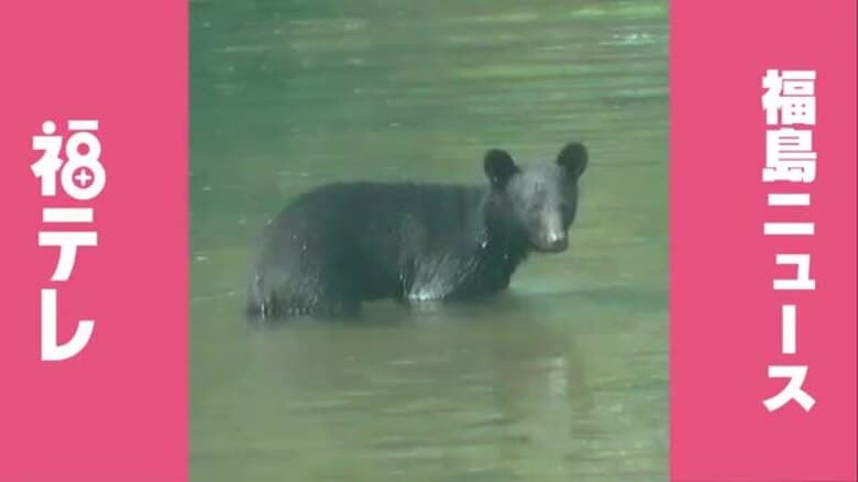 介護施設にクマが侵入　入居者は避難して全員無事（福島県南会津町）｜FNNプライムオンライン