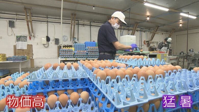 エサ代が高騰、猛暑対策で養鶏農家が“悲鳴”　2年前の“エッグショック”に迫る価格「基本的には高止まりでは」｜FNNプライムオンライン