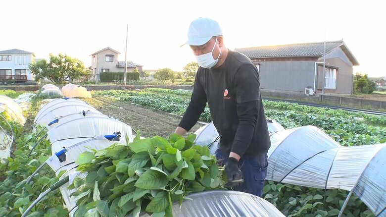 元教師の枝豆農家「できる範囲で役立ちたい」 家族の支えを力に…思い描く未来とは【新潟発】
