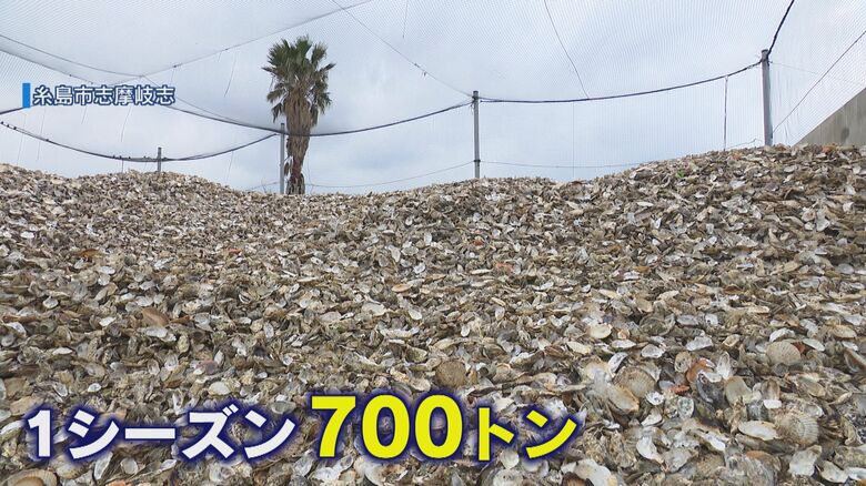処分に数百万円…「カキ殻」700トンを再利用　地元の力で肥料やブロックに【福岡発】｜FNNプライムオンライン