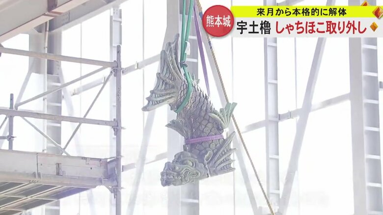 実は表情が違う「しゃちほこ」　国の重要文化財・宇土櫓の“守り神”を取り外し本格解体に向け報道公開｜FNNプライムオンライン