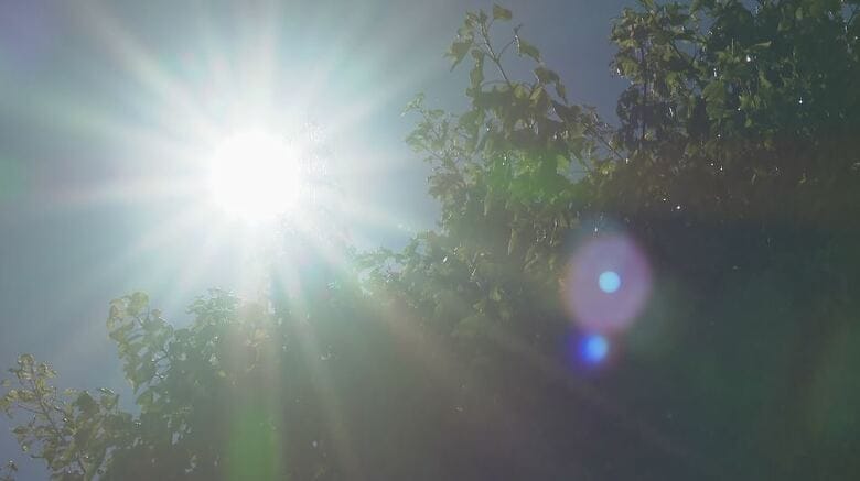 県内4地点で今年初の「猛暑日」　佐久36.1℃、松本35.3℃　熱中症の疑いで12人搬送　農作業中に意識がもうろう…70代男性が重症｜FNNプライムオンライン