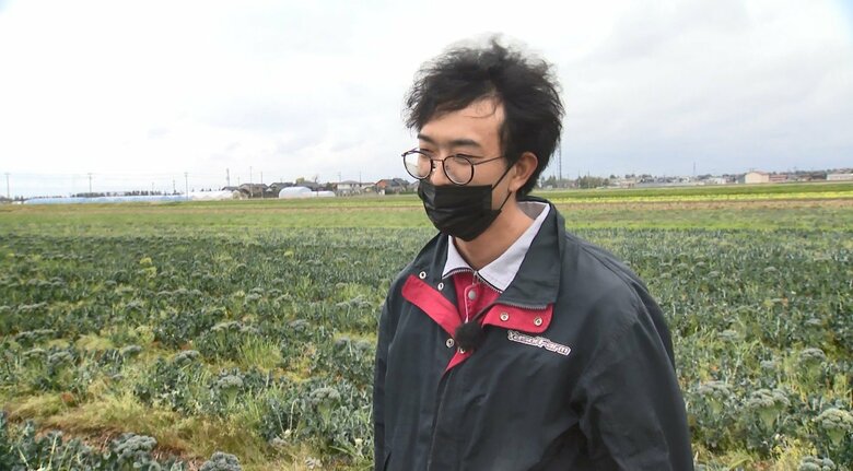 安井ファーム広報課 土田龍之介さん