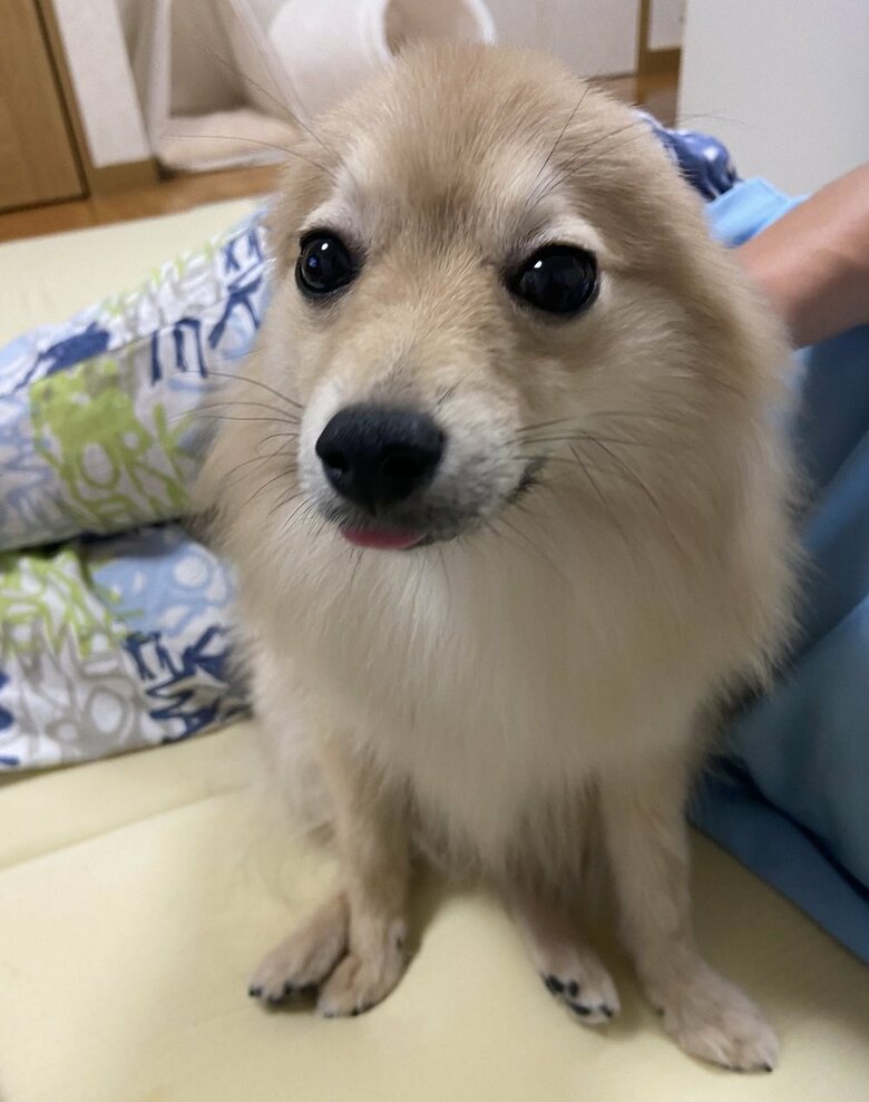 まるでアザラシのよう…