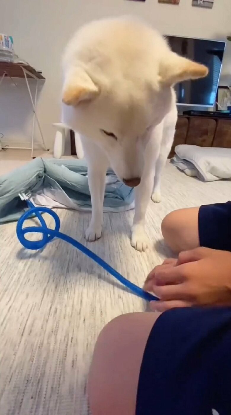 長男くんは頑張るも…