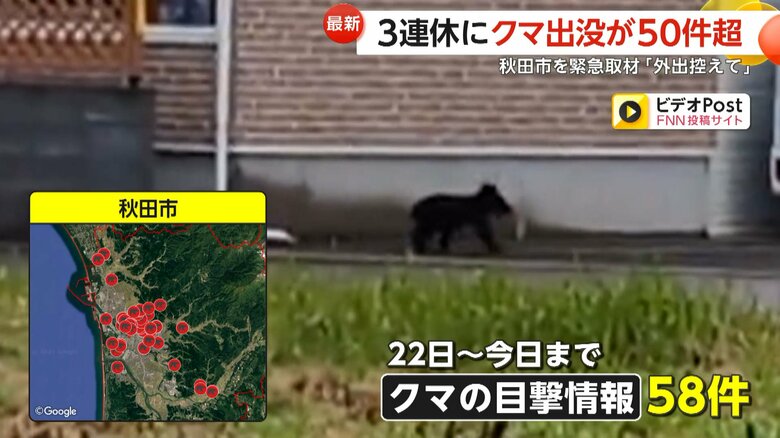 街中などで50件を超えるクマが出没している（秋田市）