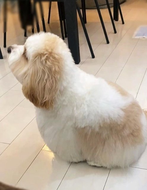 提供：宮原幸恵さん