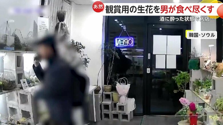 食べきらないうちに別の草に向かい、口いっぱいに頬張った男