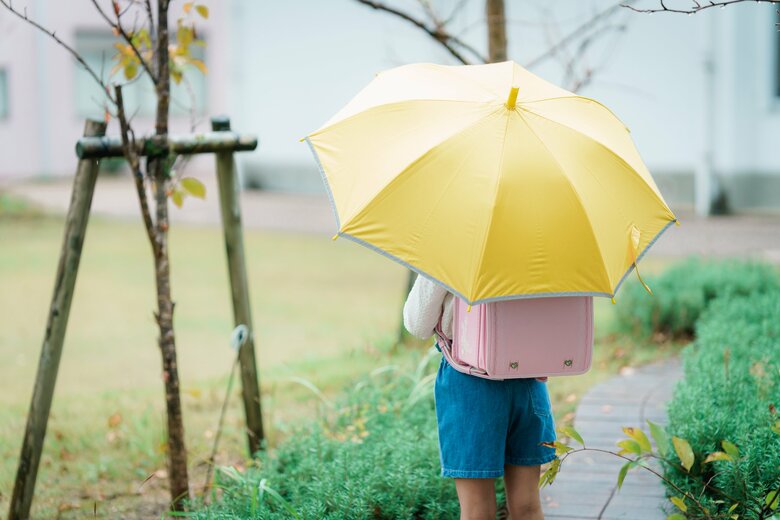 提供：株式会社ハシモト