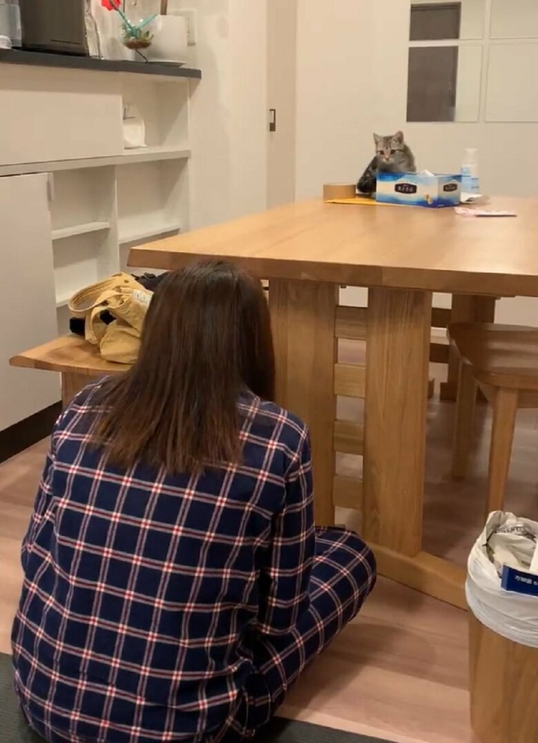 飼い主さんが隠れると…