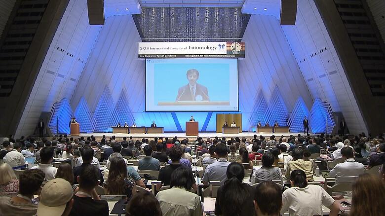 第27回 国際昆虫学会議（京都市)