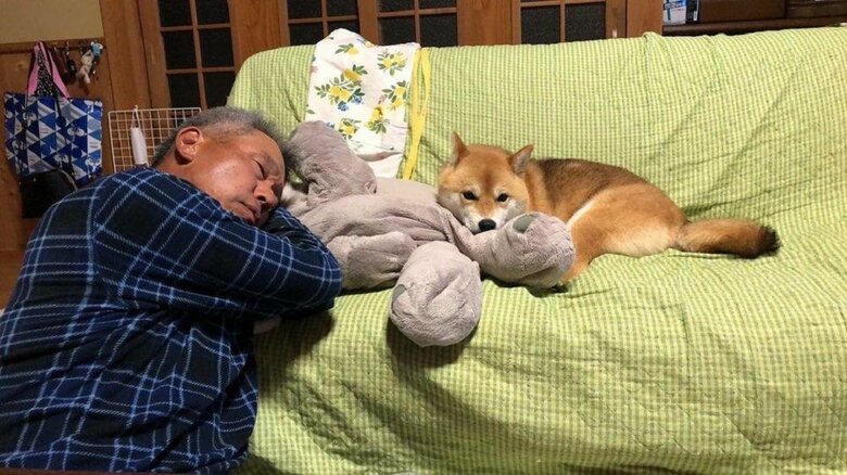 ソファにむぎちゃんが寝ているので、お父さんは遠慮してそのまま寝落ち