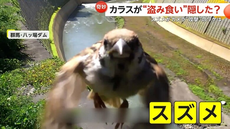 （国土交通省 利根川ダム統合管理事務所）
