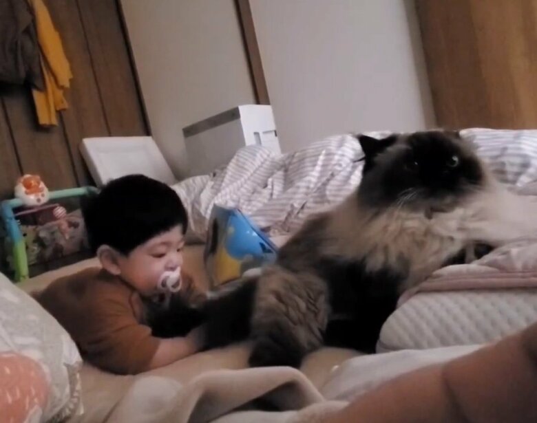 ちょっかい出しても怒らない（提供：ねぎまるさん）