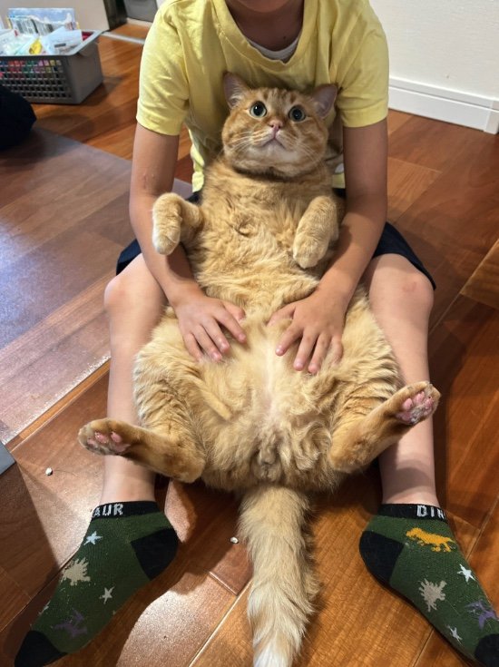 提供：すずつむふうさん