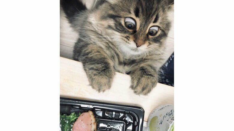 カードの元になった写真がこちら