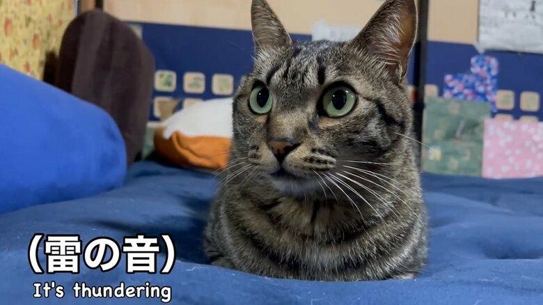 しかし、ももちゃんが少し離れると…