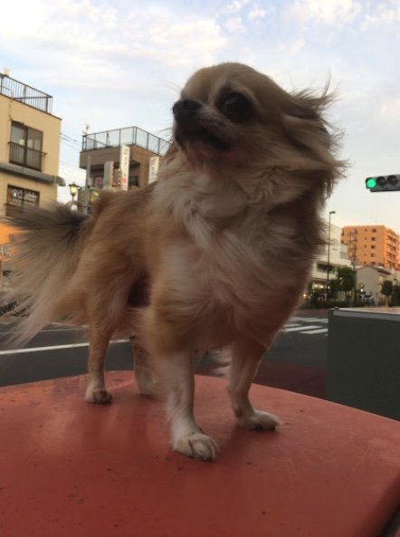 お気に入りの場所（提供：榊 柾人さん）