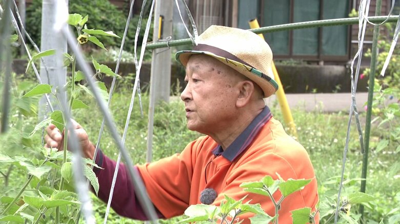 世界中の人に食用ホオズキを知ってもらうために畑に立ち続ける鈴木さん