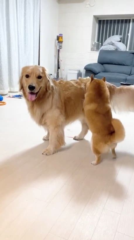 提供：うにandおからさん