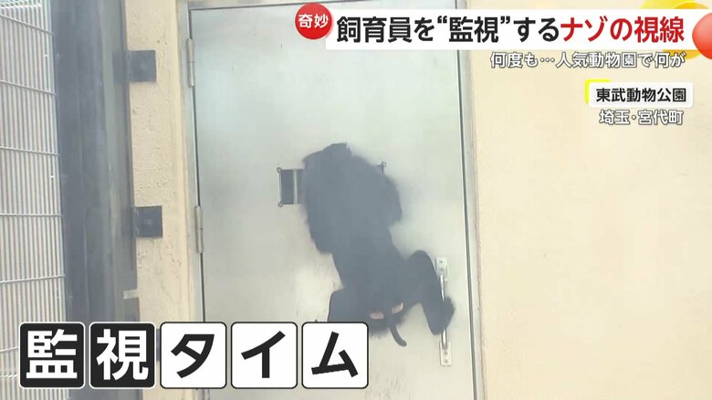 外から撮影したシーラくんの“監視”風景