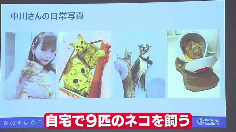 中川翔子さんの日常写真。自宅で9匹のネコを飼っているという