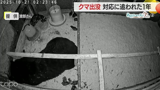 わずかな網のすき間から鶏舎に入り、ひな鳥を大量に食い荒らした