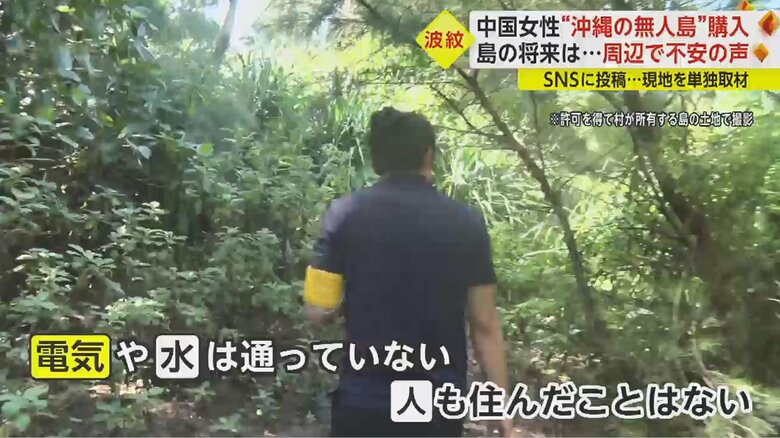 取材班「島全体が雑木林のようです。道は全く整備されていません」