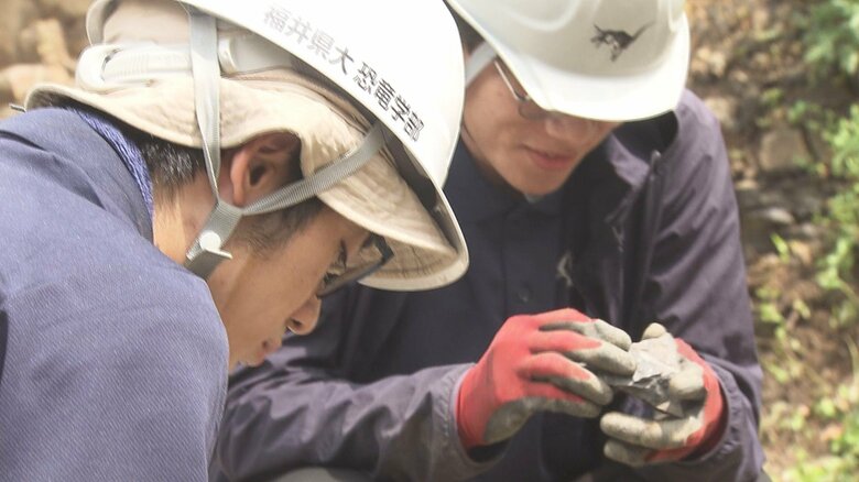 恐竜学部の学生も調査に参加