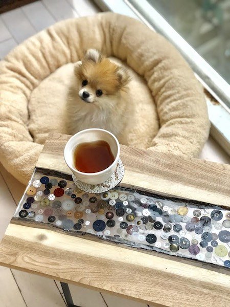 「だれ用のベッドと決めたわけじゃないけど、 それぞれの陣地があり、これはぱるるのお気に入りになっています」 。机は、とよたさんがボタンを使ってDIYしたもの。（撮影／とよた真帆）