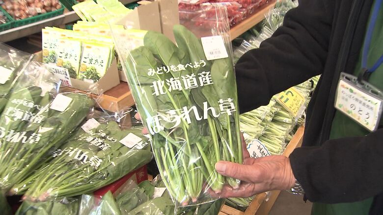 採れたてのほうれん草