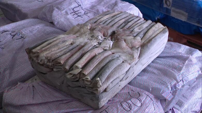 5年ほど前から外国産のイカを輸入