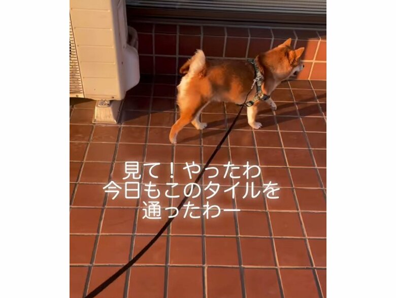 提供：kurararara4466さん