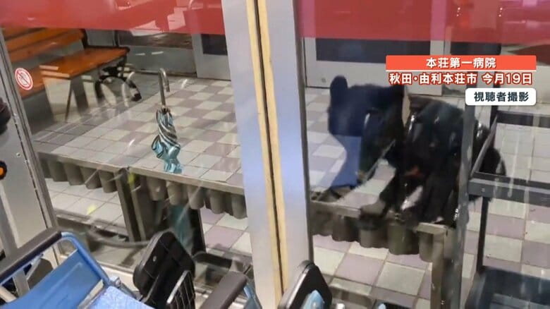 威嚇するかのように傘立てに乗ってガラスをたたく