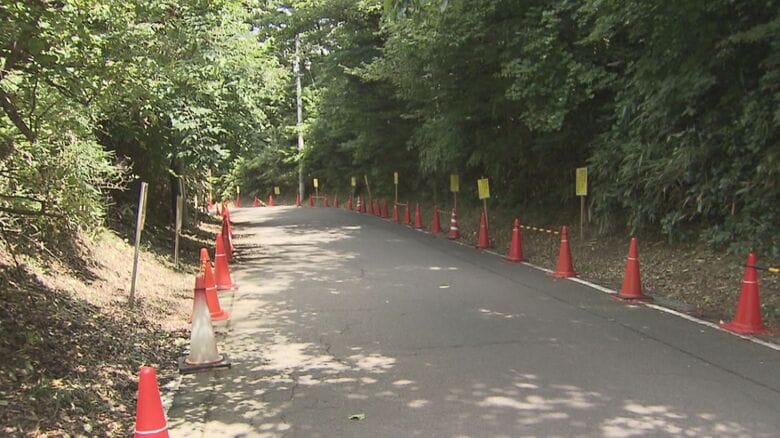 河原近くの道路に並べられた赤いコーン