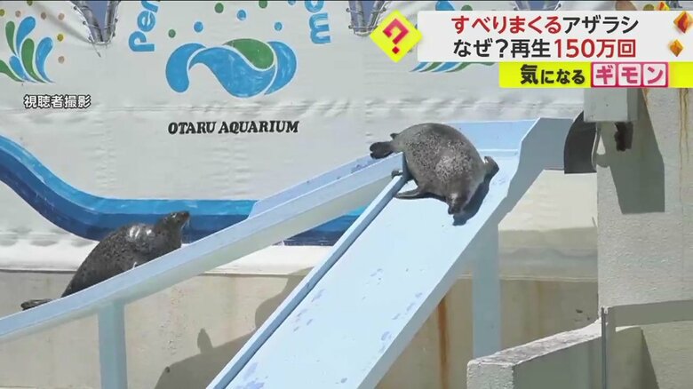上りきると方向転換して...