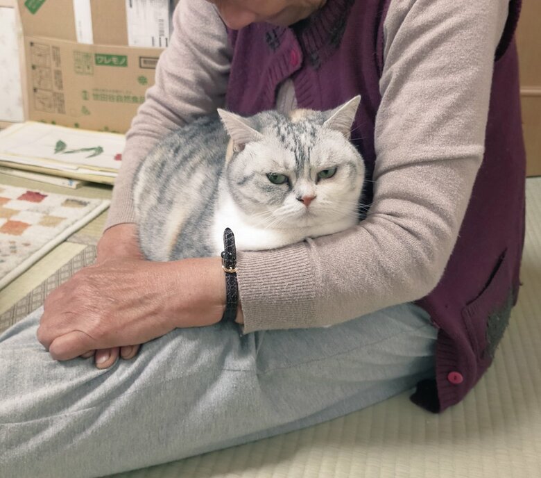 提供：まさまささん