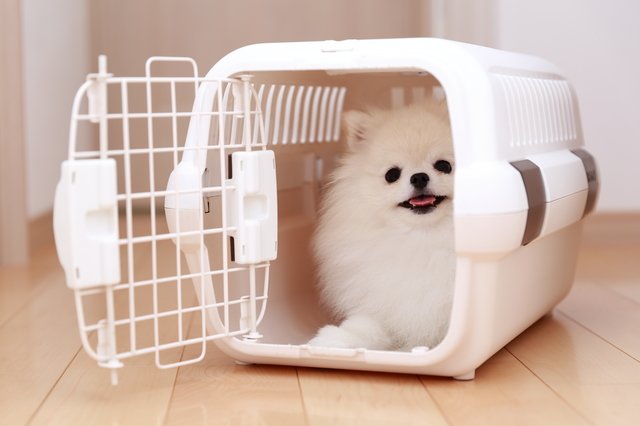 （画像はイメージ）