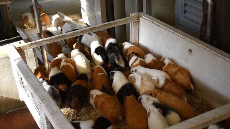 画像提供：公益財団法人東京動物園協会