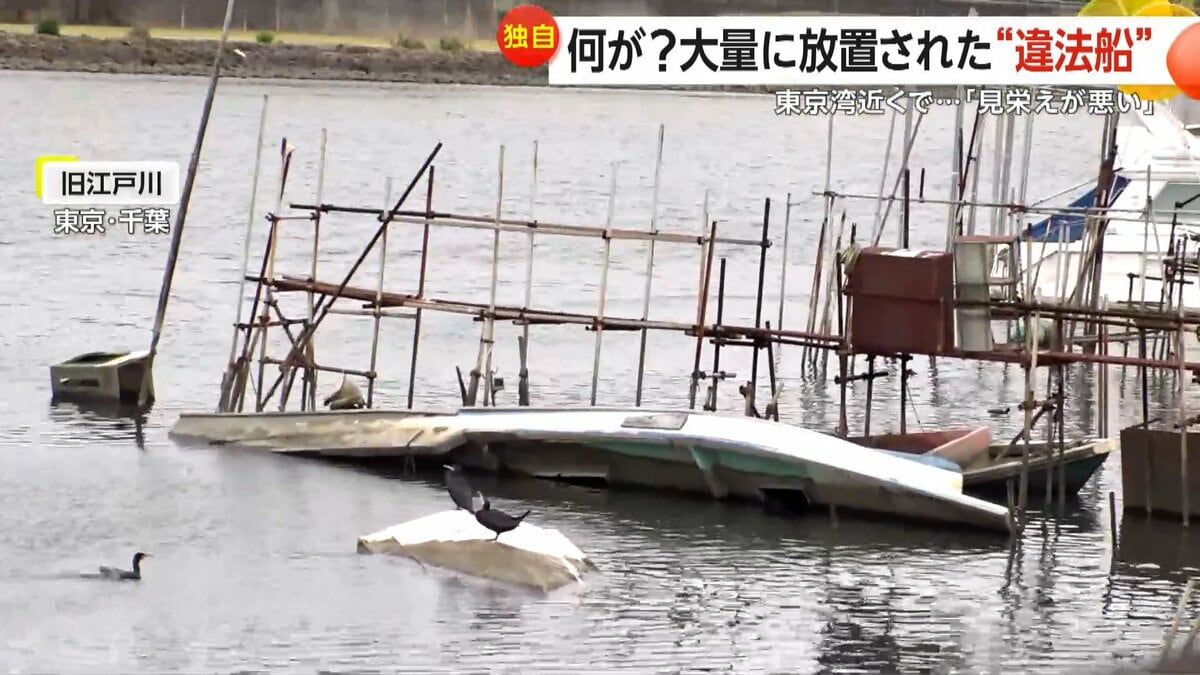 船の墓場」が旧江戸川に…“水上の駐車違反”や無許可桟橋設置まで「もう