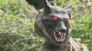 「お前だけは許さない！」クマを寄せ付けない“モンスターウルフ”で新対策　ファミリーマートで初の実証実験開始