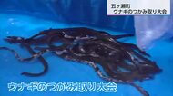子供たちが悪戦苦闘！　五ケ瀬町の祭りでウナギのつかみ取り大会