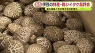 伊豆の特産・乾シイタケ品評会　夏の猛暑と冬の雨不足が影響し生産量は少なめ