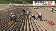 鳥取は5日連続の猛暑日…炎天下のラッキョウ畑でも厳重な熱中症対策　6日はさらに気温上昇39℃予想も