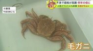 “毛ガニ”不漁で高騰 例年の倍「1万円」も…人気イベントにも影響【北海道発】